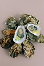 Load image into Gallery viewer, Oysters on a pink background. Mersea rock oysters. Jersey rock oysters 