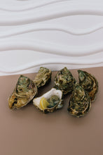Load image into Gallery viewer, Jersey rock oysters. 1 shucked jersey oyster 