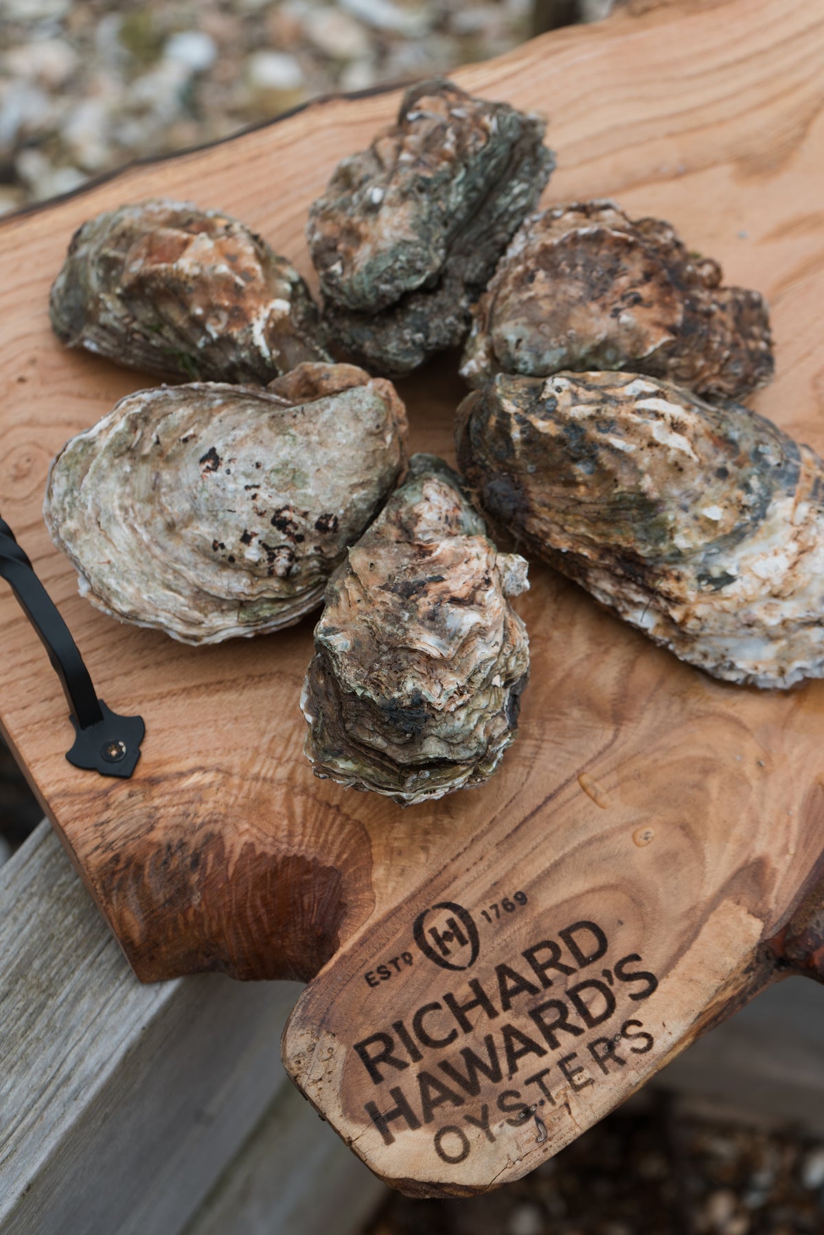 Extra large rock oysters. Borough Market. Places to eat in London. 