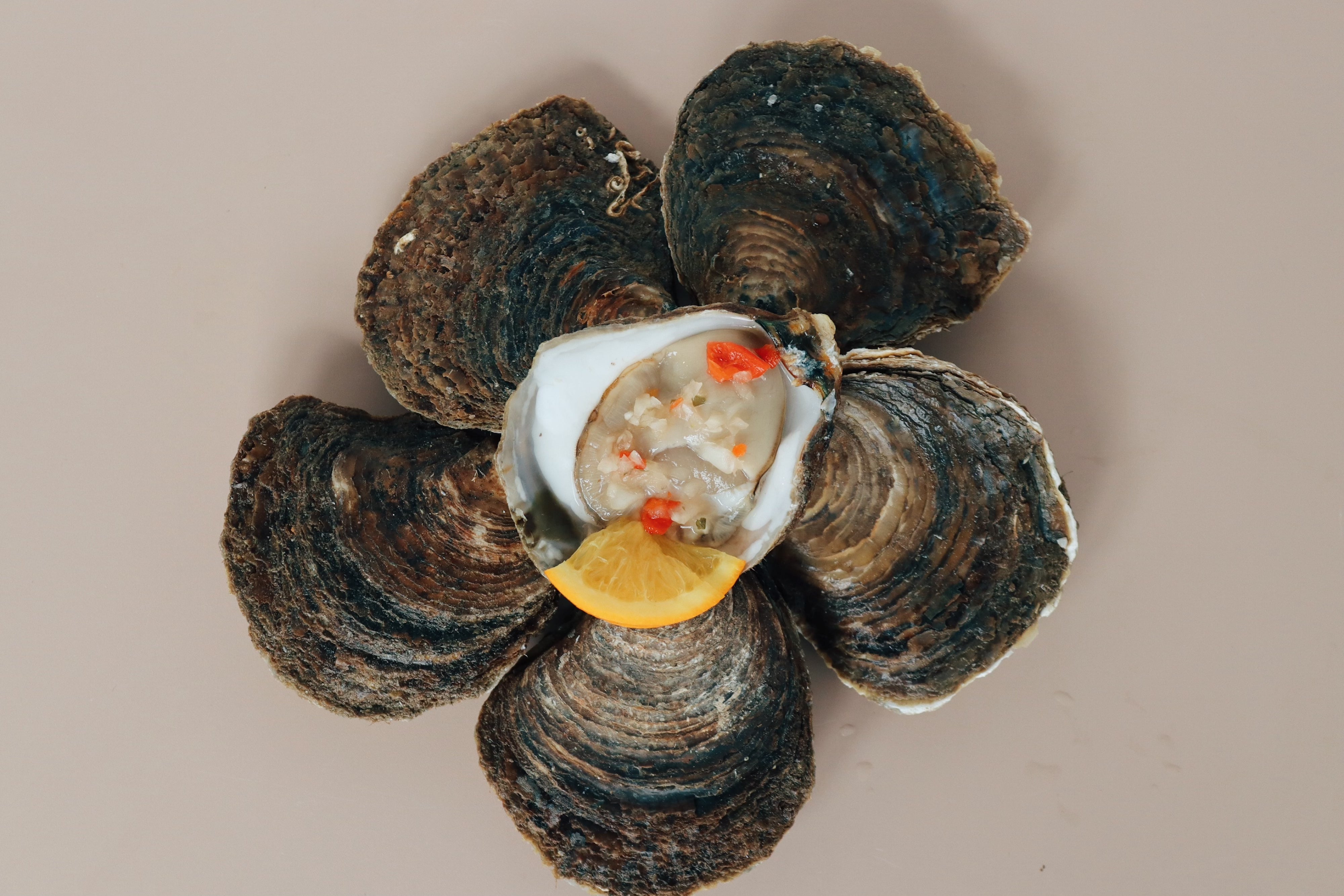Six large native oysters. Sold at Borough Market, London