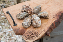 Load image into Gallery viewer, 6 medium oysters. Mersea oysters. 