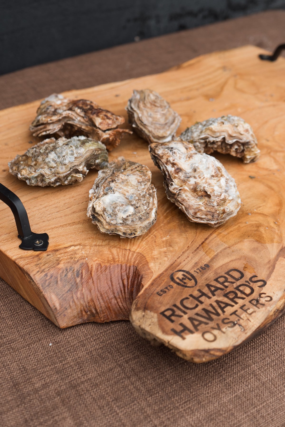 Medium rock oysters. Gigas. 