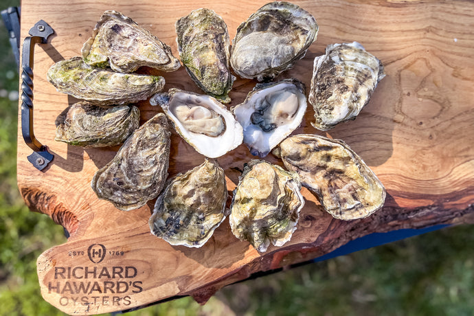 Mersea rock oysters. Jersey rock oysters 