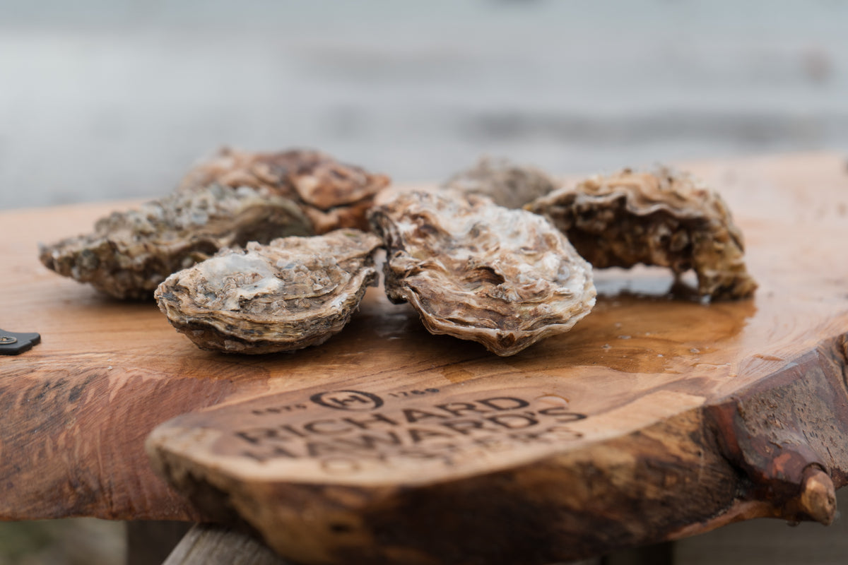 6 rock oysters. 