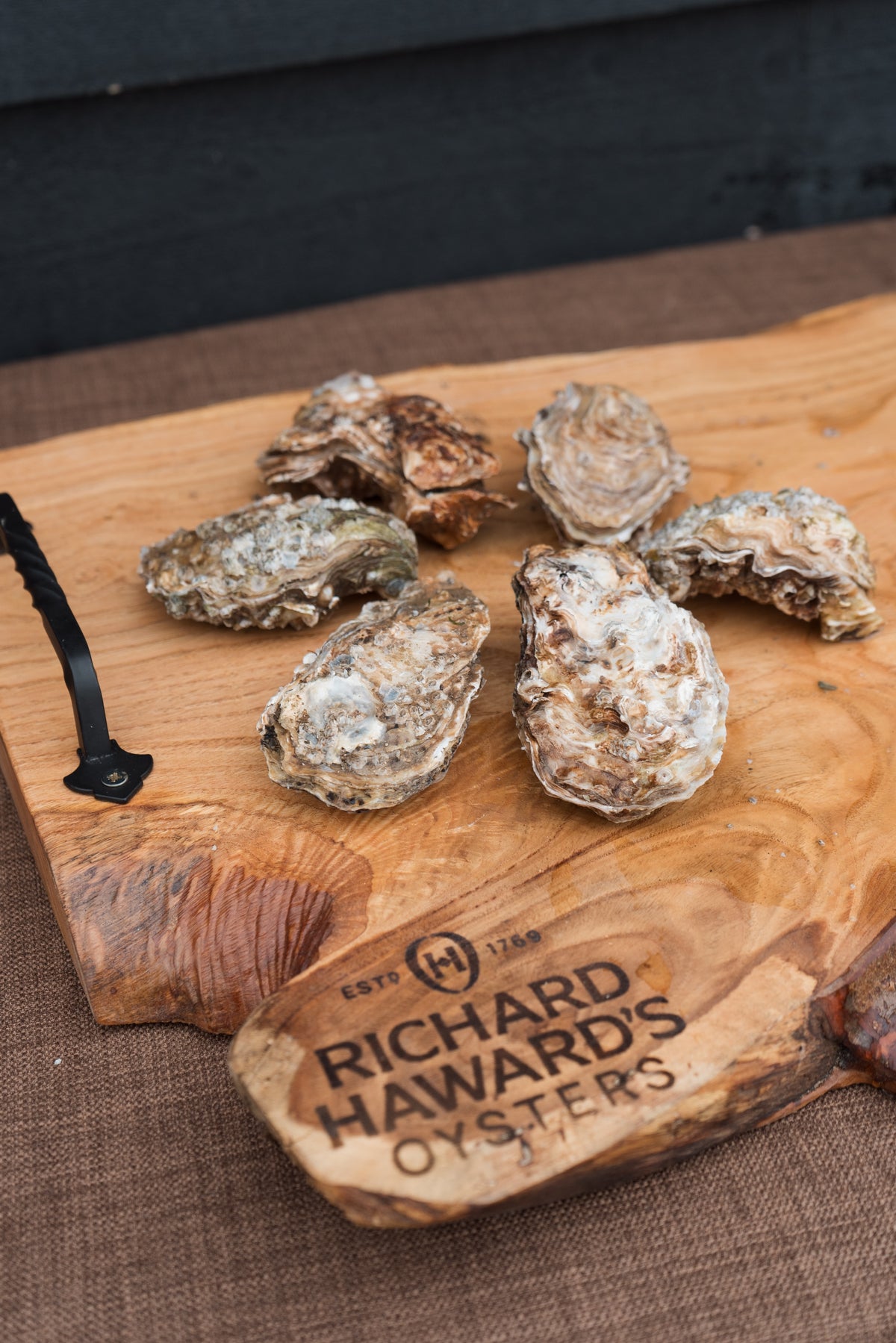 Mersea oysters. medium oysters. 