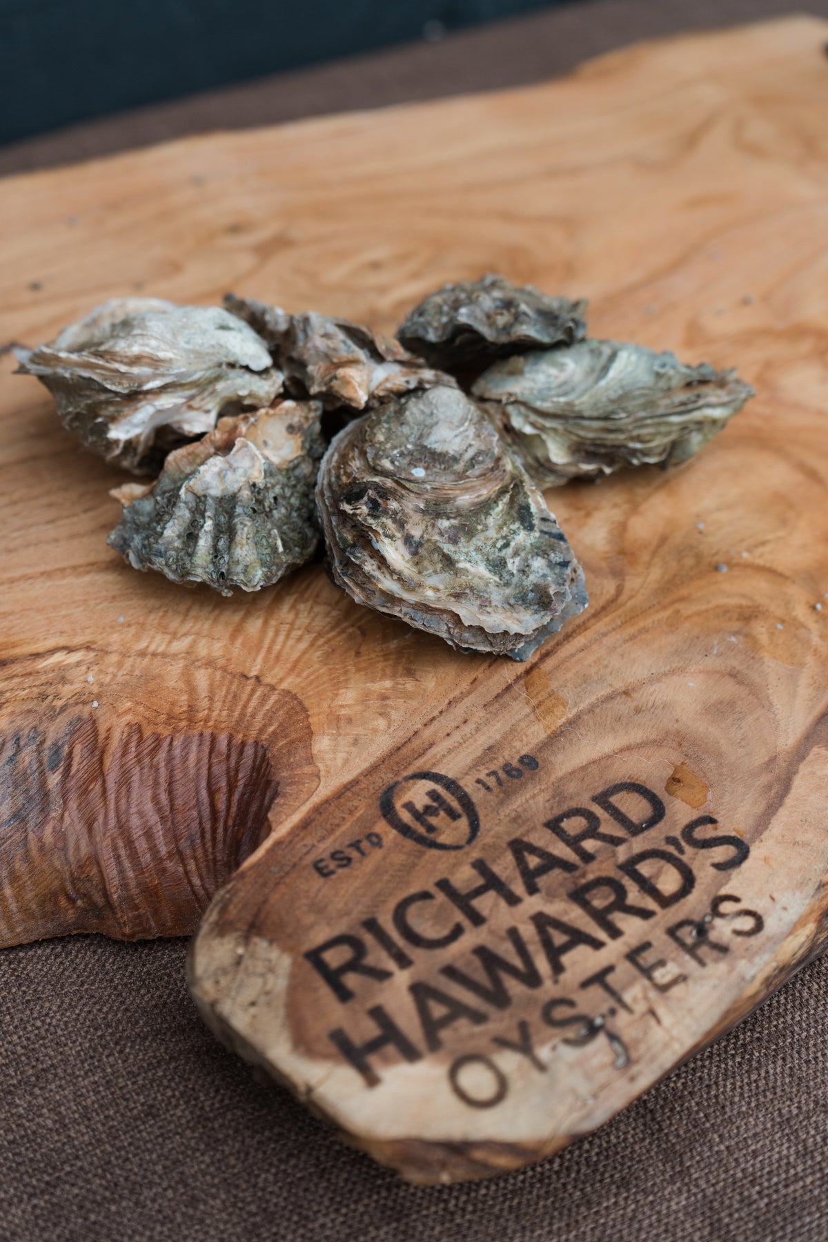 Small rock oysters. Mersea oysters. 
