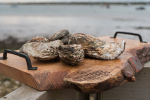 Large mersea oysters. 