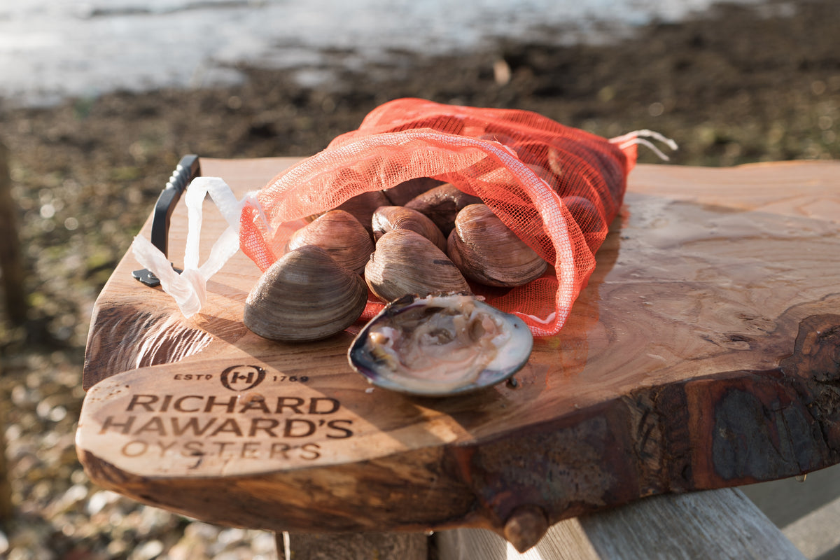 Cherrystone Clams. Richard Haward's oysters. Mersea Island. 