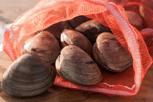 Cherrystone clams from Mersea Island