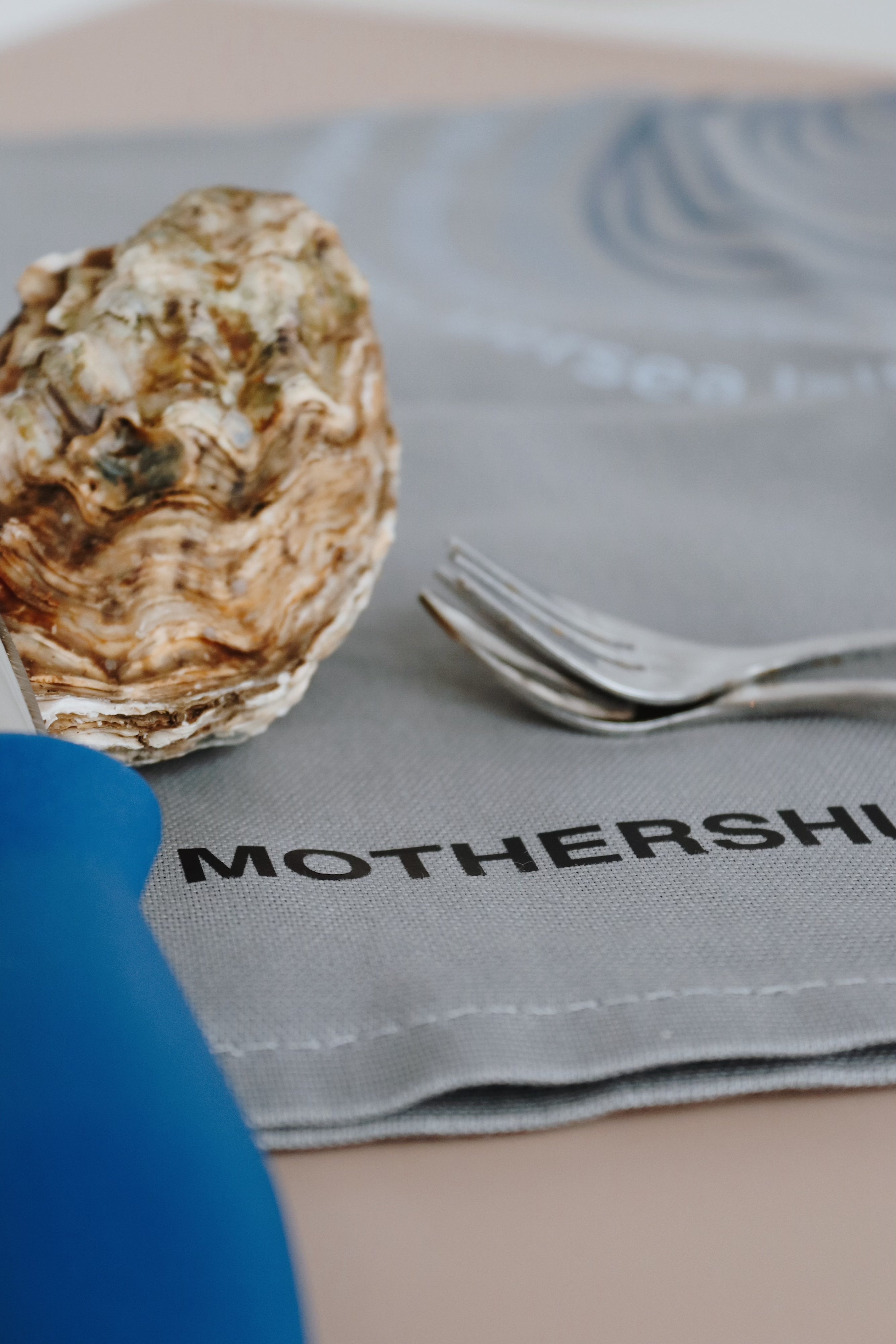Oyster on a gray surface with 'MOTHERSHIP' branding