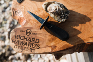 Rock oyster and guarded shucking knife 