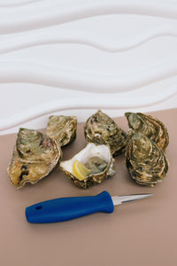 Half a dozen Jersey rocks, shucking knife. 