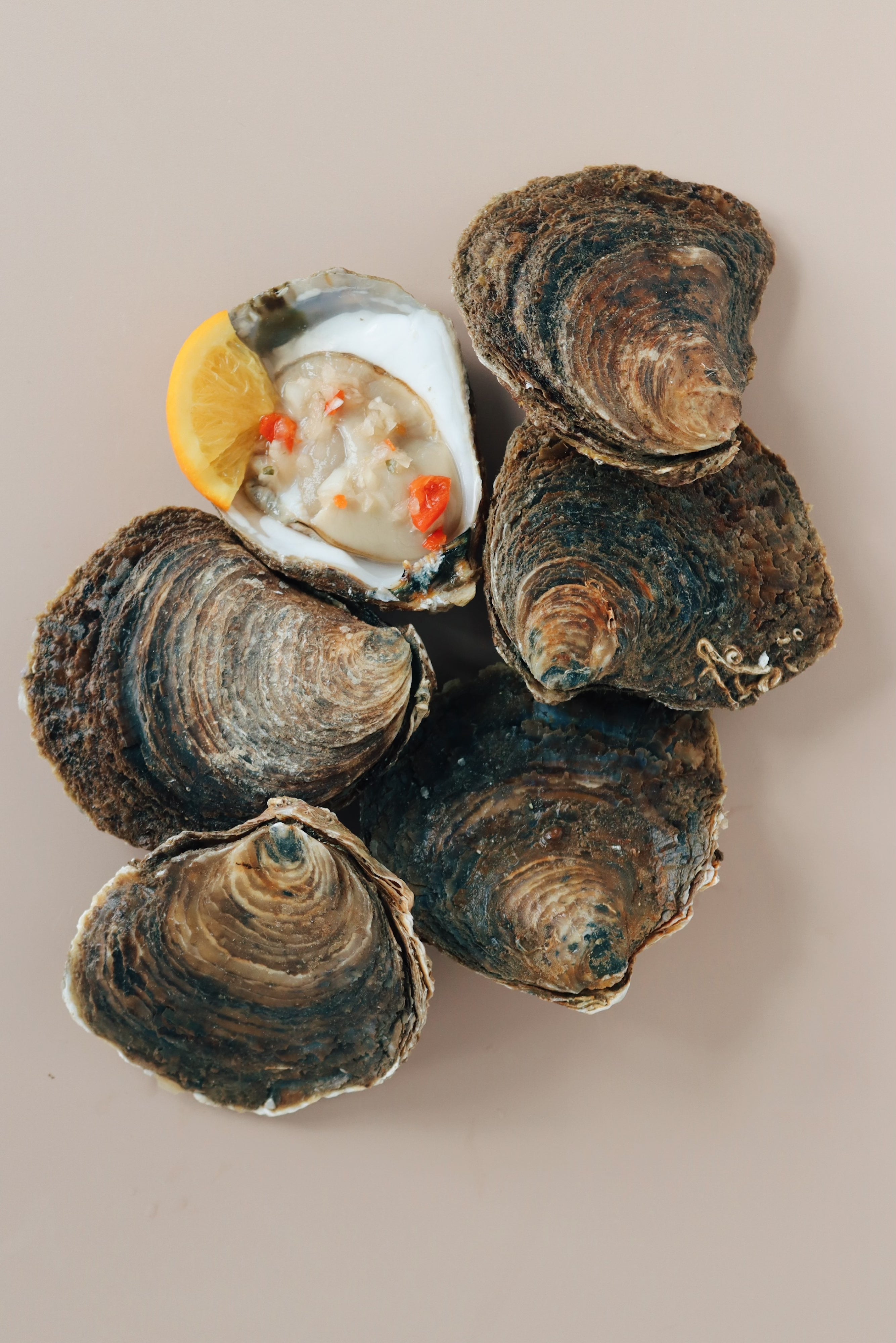 6 large native oysters. Order online today. 