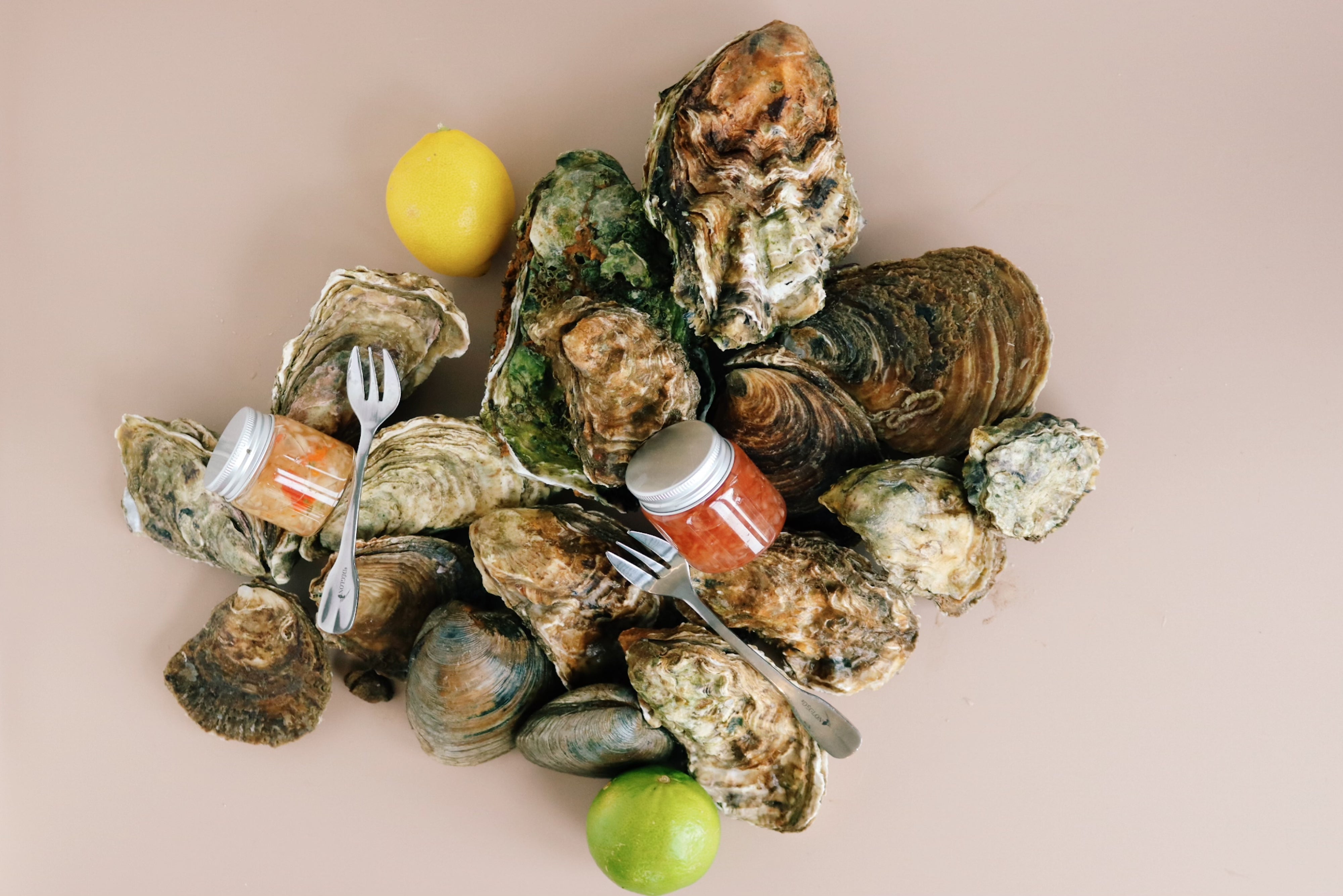 Mersea native oyster box. Selection of oysters. Mersea Island. Essex. 