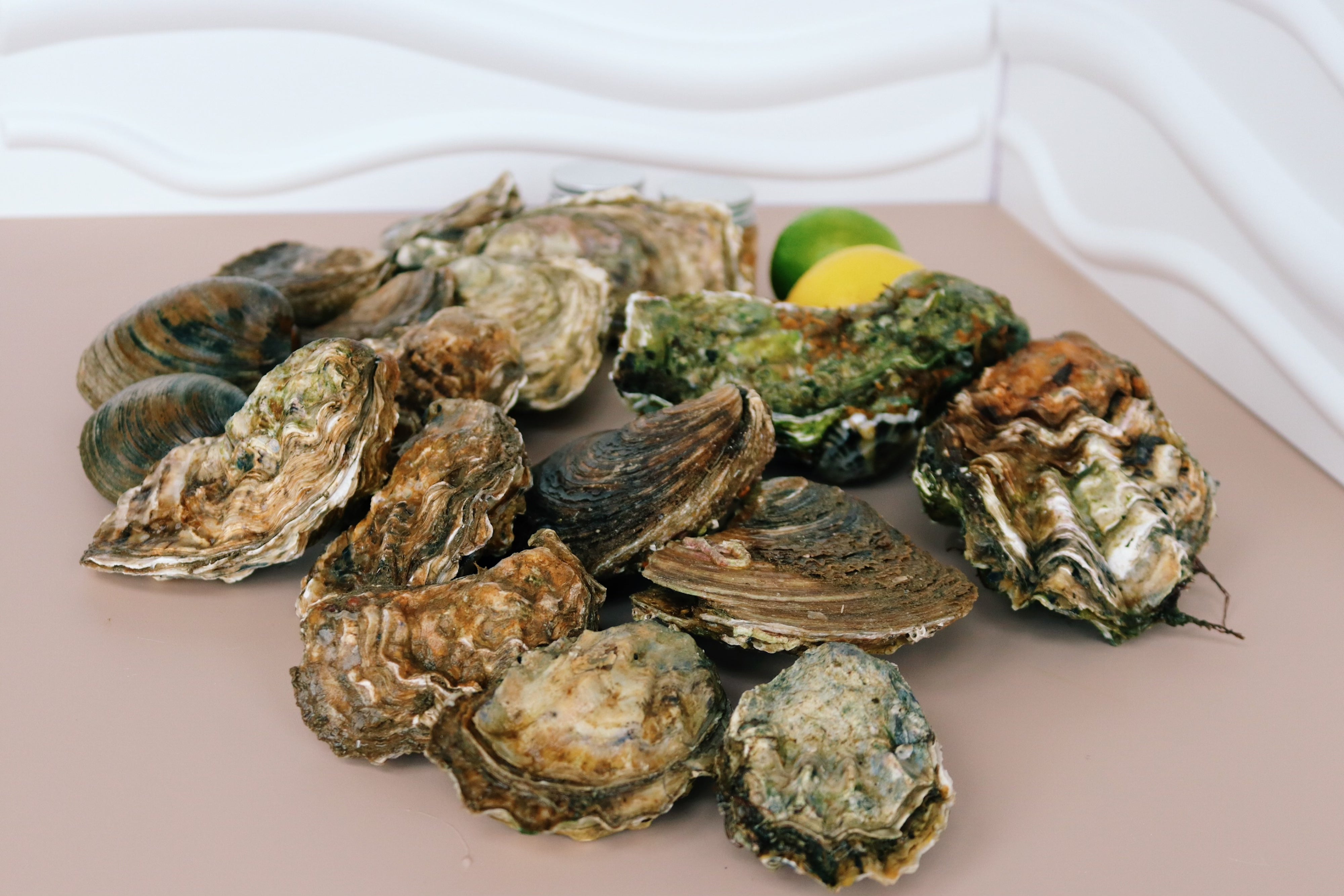 Native oysters, cherrystone clams and rock oysters harvested on Mersea Island by Richard Haward's Oysters. 