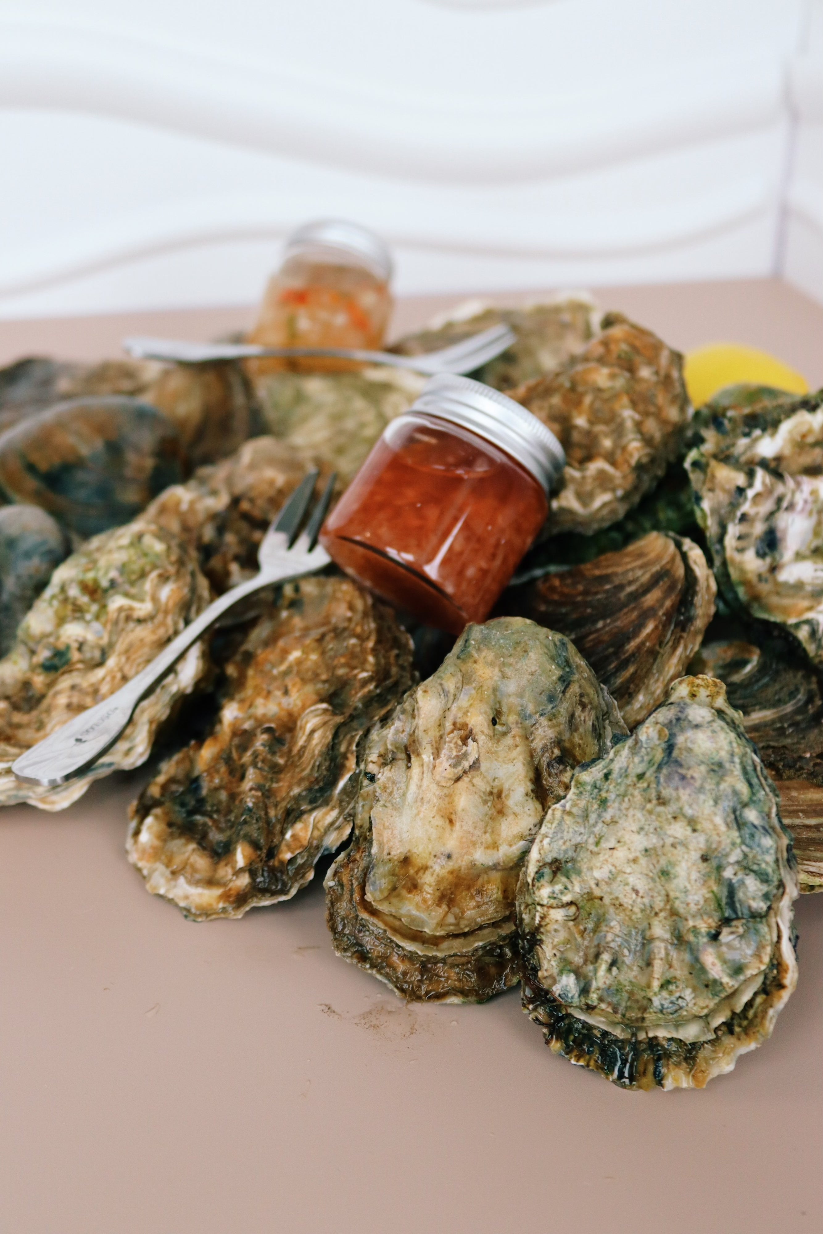 Close up of Medium rock oysters sold at Borough Market 