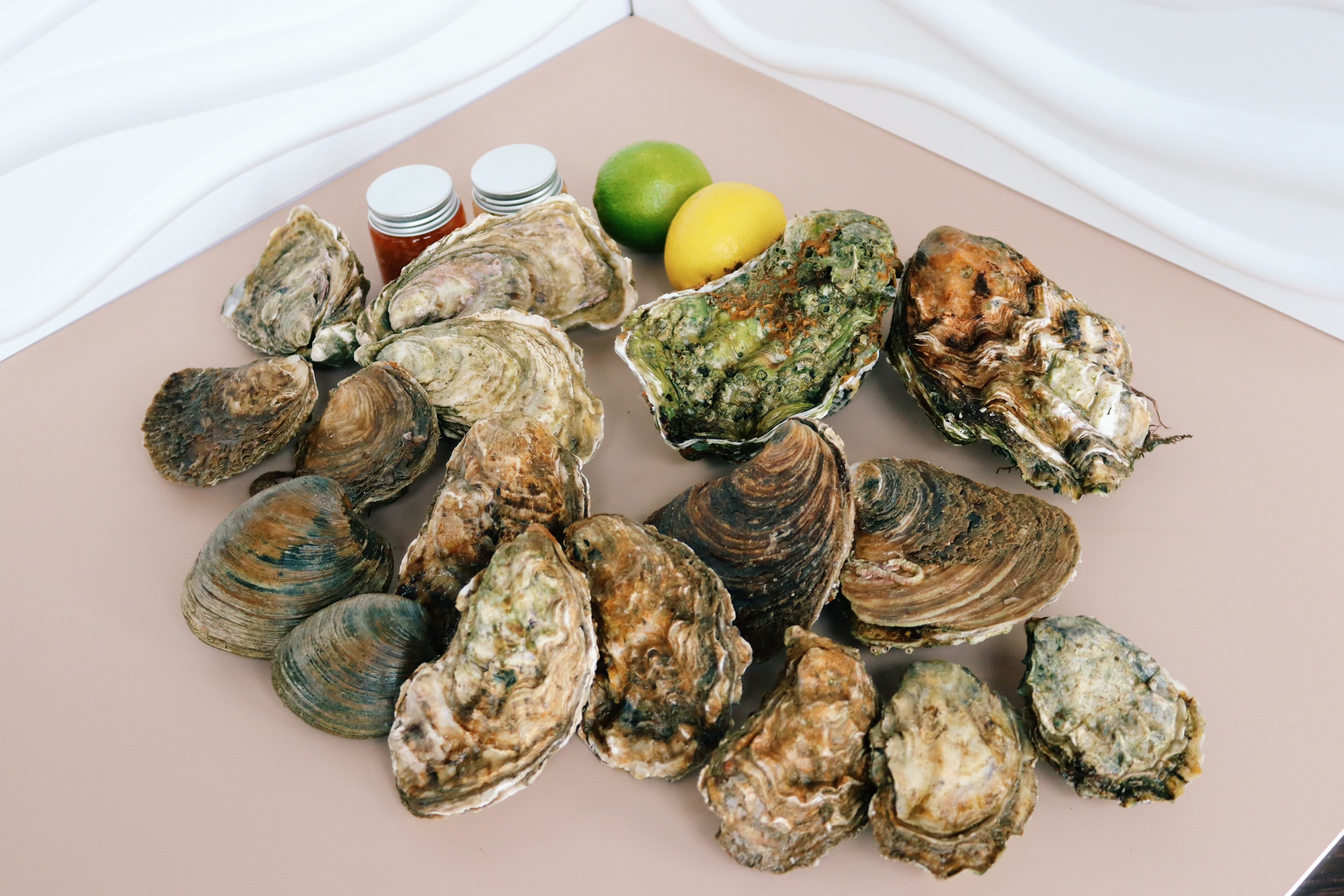 A selection of clams and oysters from Mersea Island. Sold at Borough Market, London 
