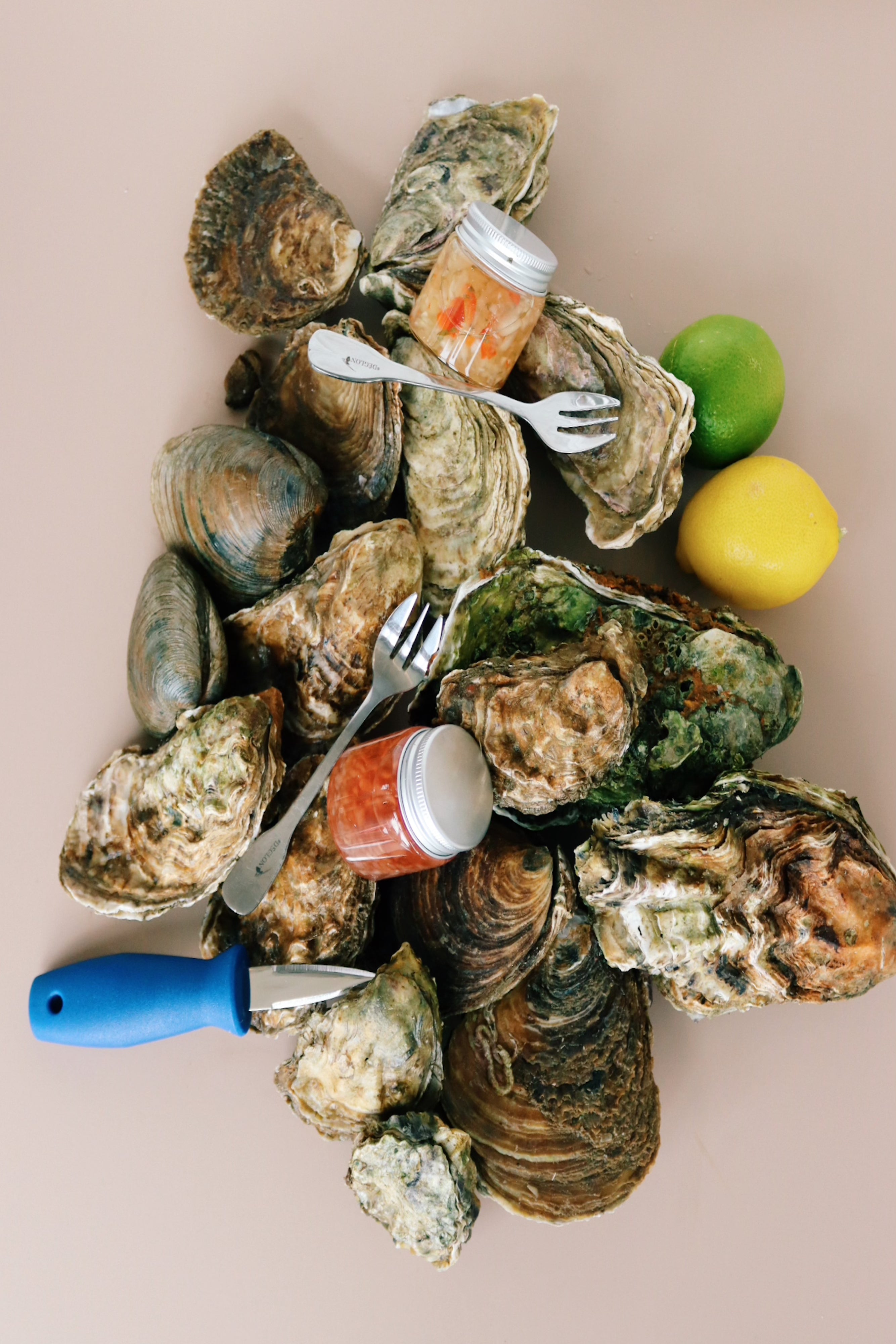 Oysters farmed on Mersea Island. Oysters delivered to your door. 