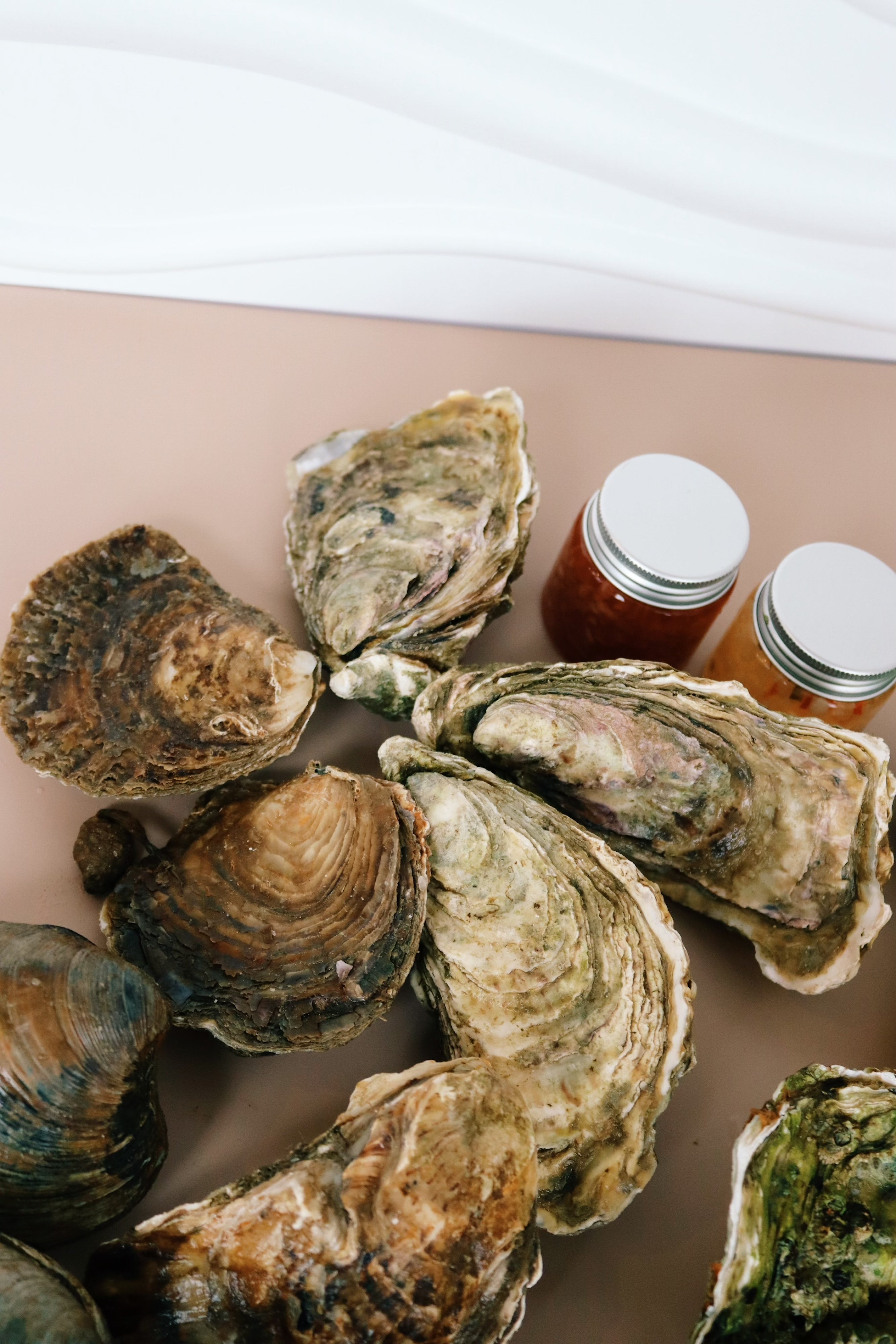 Raw oysters on a plate with shallot vinegar. Native oysters. Jersey oysters. 