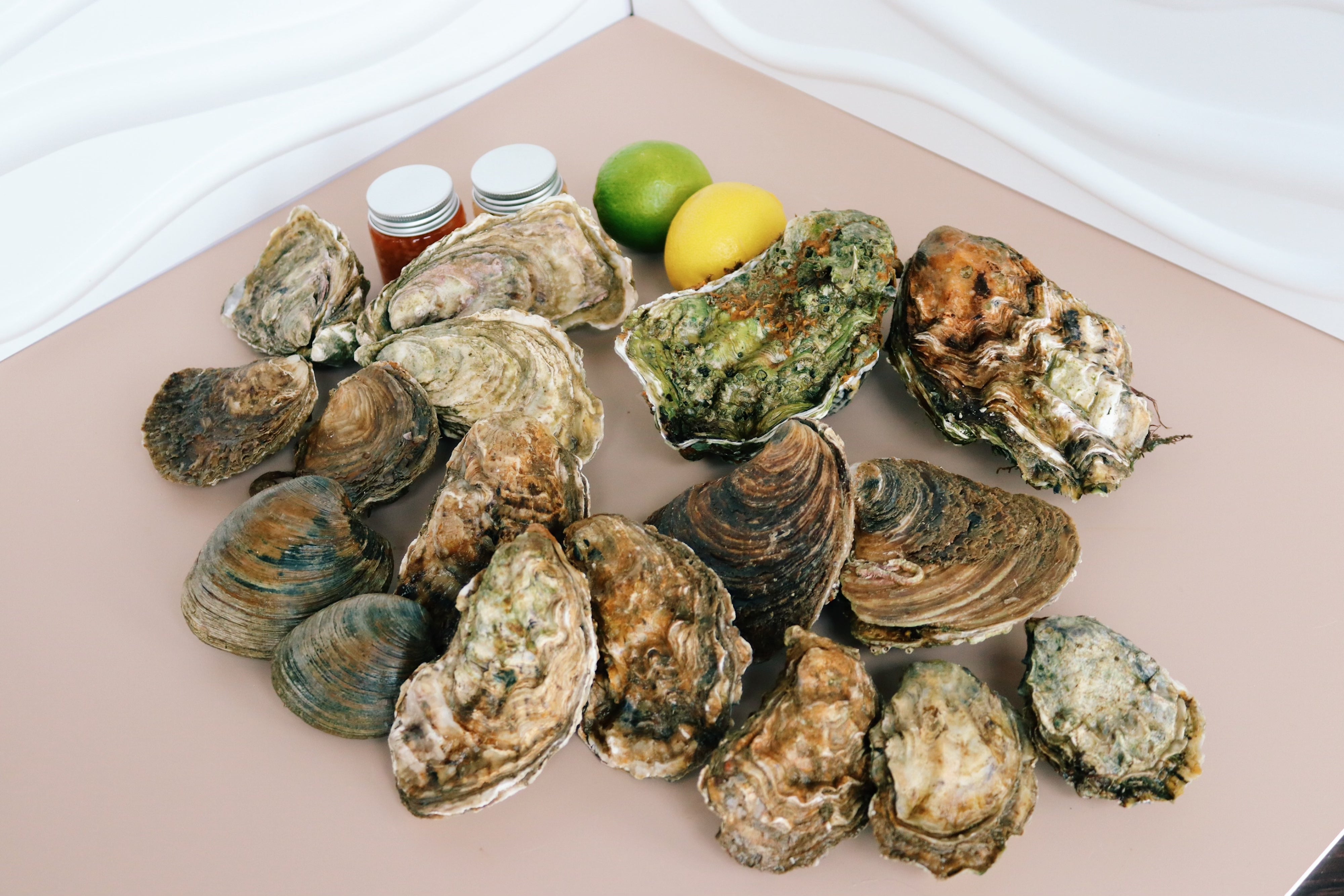 Native oyster selection box. Mersea rock oysters. Jersey rock oysters Native oysters. Cherrystone clams. 