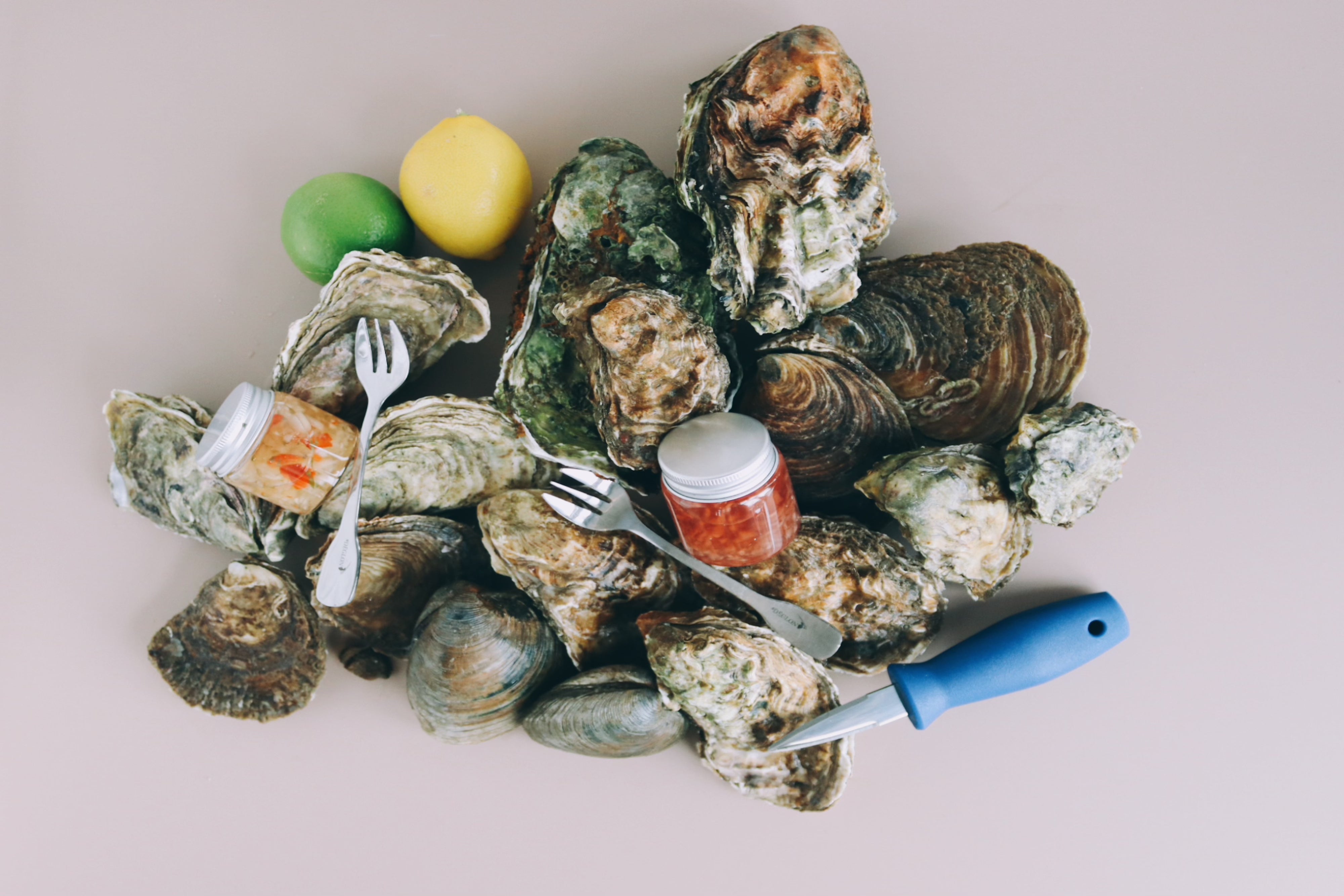 A mix of oysters and clams. Sold by Richard Hawards Oysters. 
