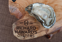 Load image into Gallery viewer, Shucked large oyster