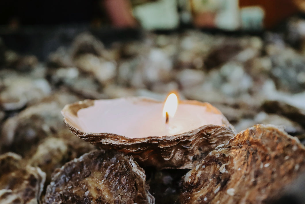 Oyster shell candle. Mersea Oysters. 