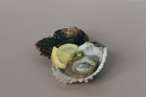 Small Native Oyster