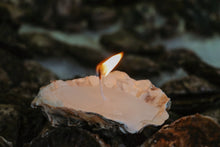 Load image into Gallery viewer, Richard Haward&#39;s Oysters. Oyster shell candle