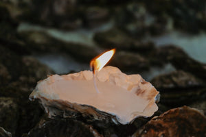 Richard Haward's Oysters. Oyster shell candle