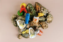 Load image into Gallery viewer, Mersea and Jersey oysters on a bed of rocks with small condiments and garnishes on a beige background