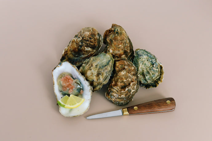Wooden Handled oyster knife. Mersea rock oysters 