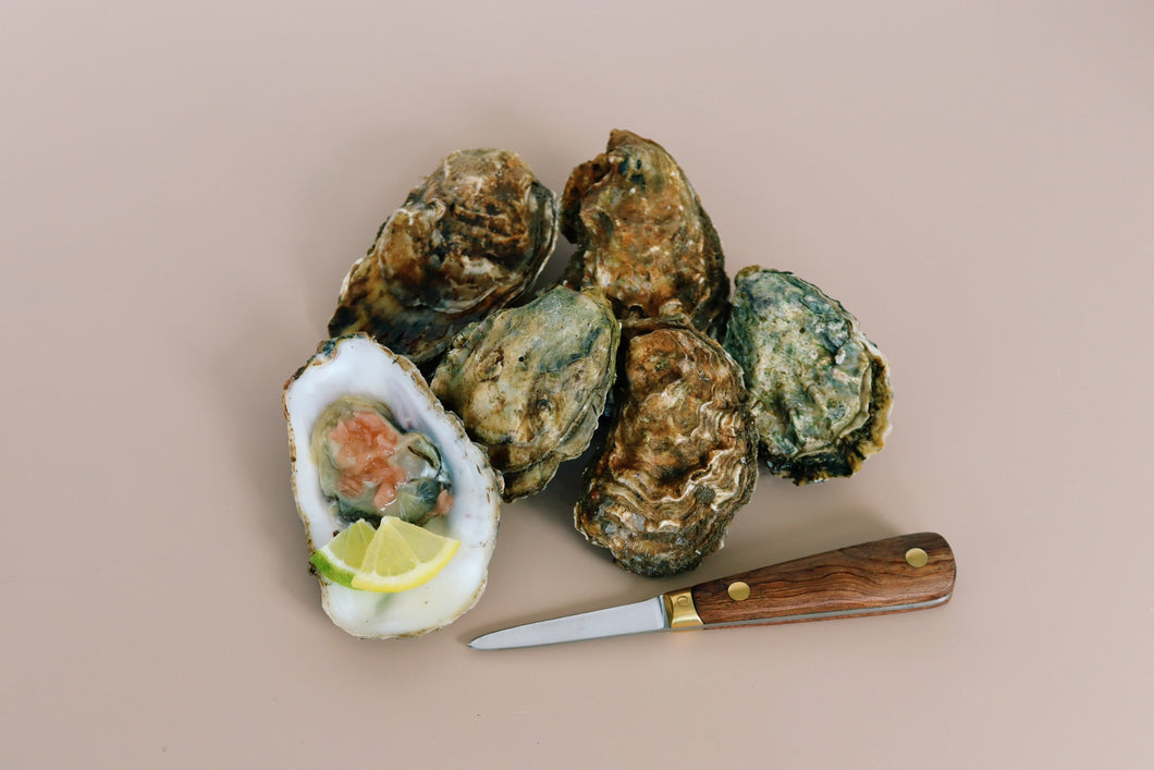 Wooden Handled oyster knife. Mersea rock oysters 