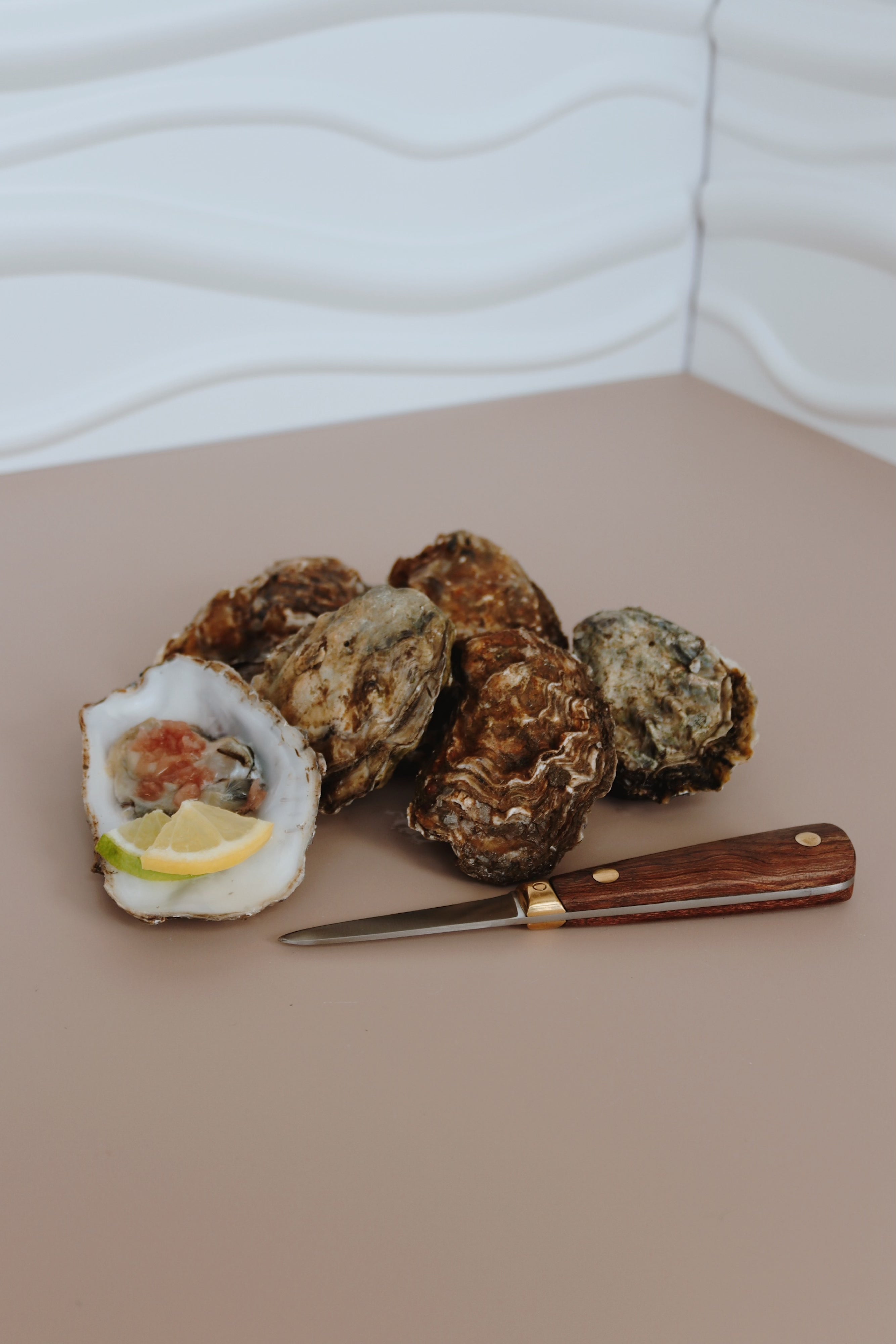 Vintage oyster knife. 