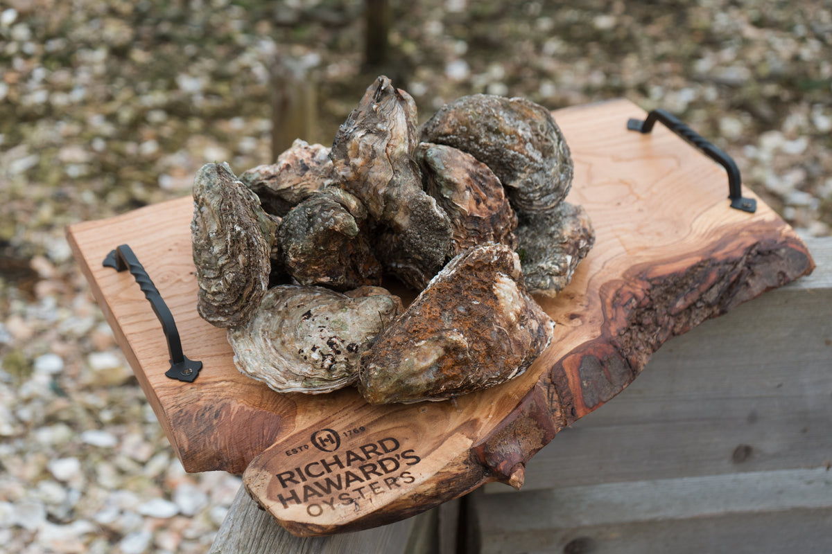 12 large oysters