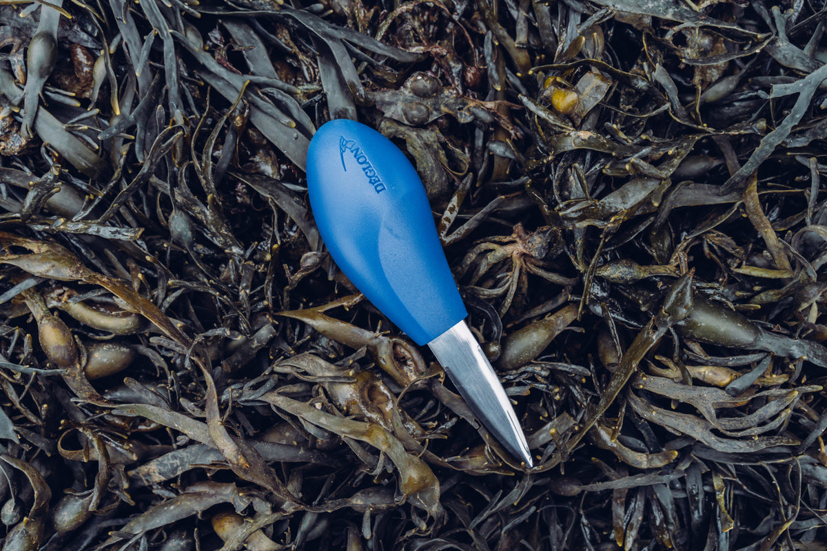Oyster Shucking Knife. Buy shucking knife online 