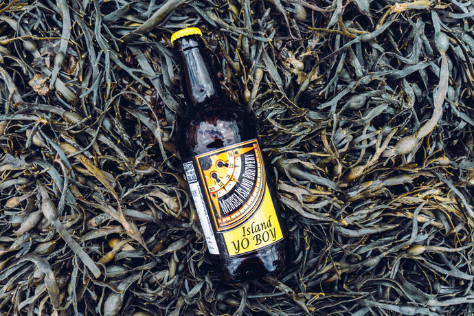 Island yo boy beer. Mersea Island Beer