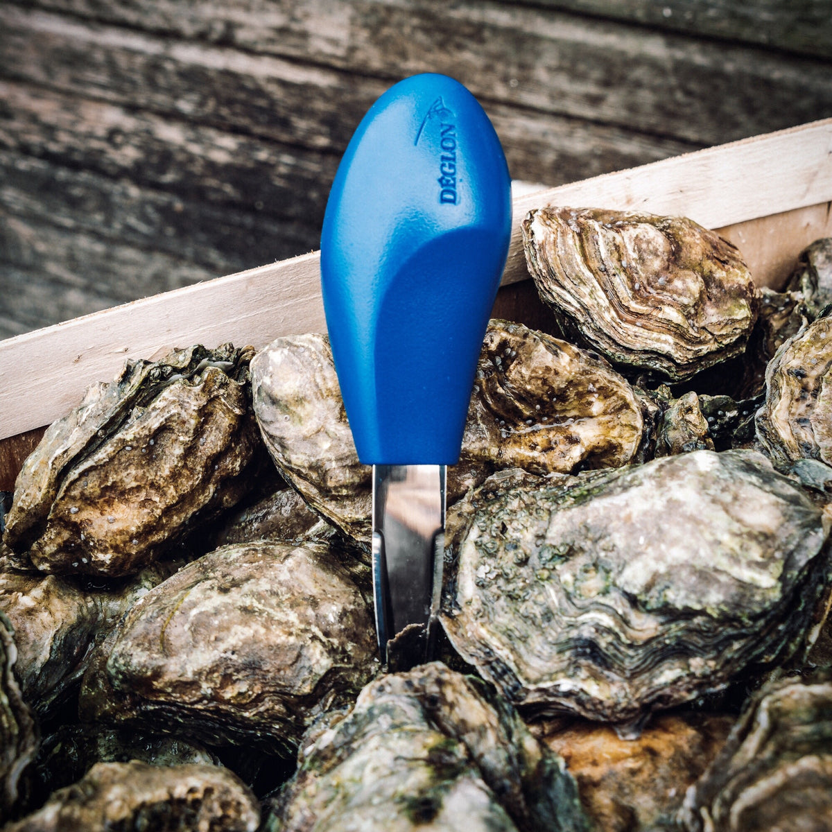Round Handled Oyster Knife - Richard Haward's Oysters. Oyster knife 