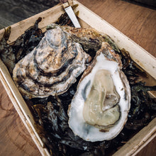 Load image into Gallery viewer, Buy UK oysters online from Richard Haward&#39;s Oysters