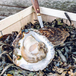 Large Native Oyster (No. 1) - Richard Haward's Oysters